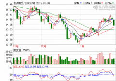 拓邦股份：動(dòng)力電池業(yè)務(wù)前景可期 機(jī)構(gòu)“興趣濃厚”