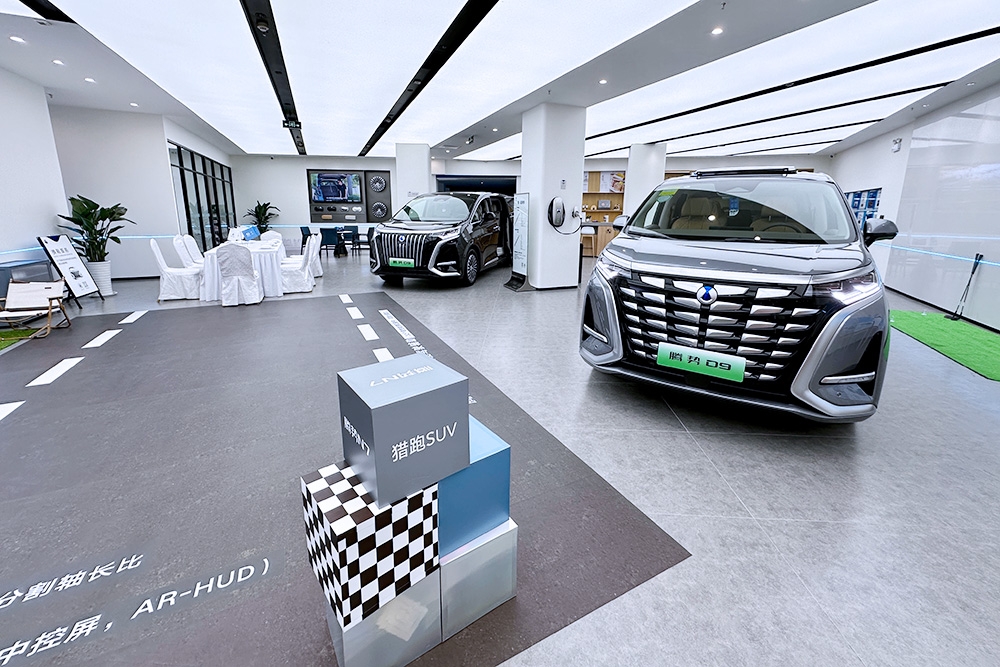 世界新能源車進入分化發(fā)展新階段 前10月中國乘用車占比68.9%
