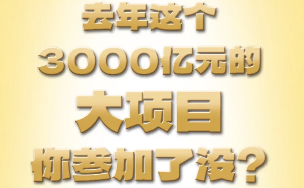 去年這個(gè)3000億元的大項(xiàng)目，你參加了沒？