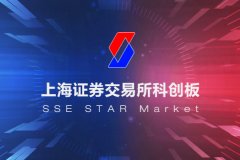 557家科創板公司中報收官 新能源/高端裝備公司業績領先　