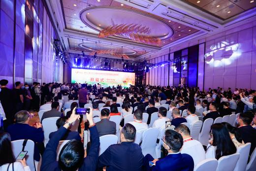 萬物向新 聚焦光伏 “SNEC PV+2024國際光伏兩會”將啟幕