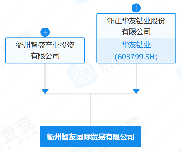衢州智友國際貿易有限公司