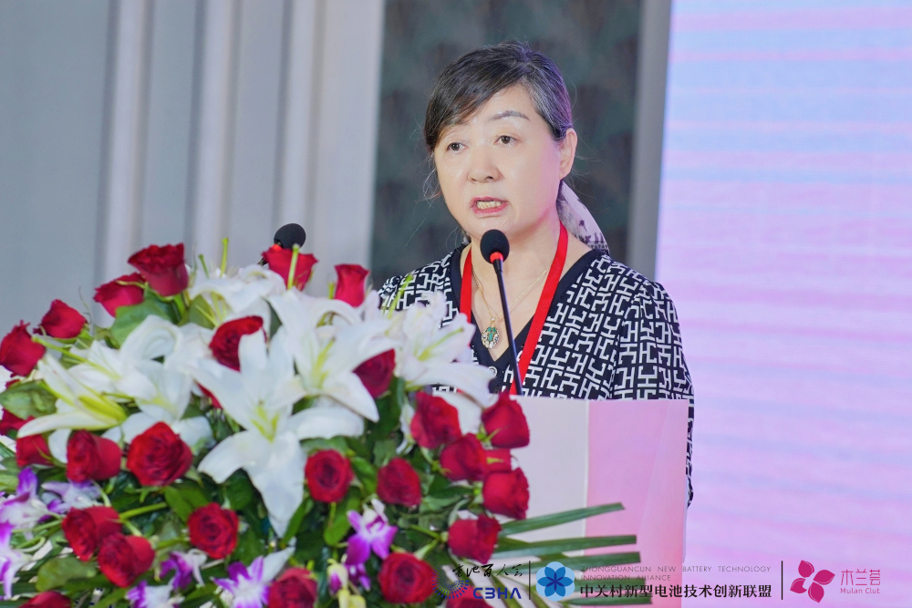 保力新能源科技股份有限公司董事長(zhǎng)高保清 保力新能源科技股份有限公司董事長(zhǎng)高保清