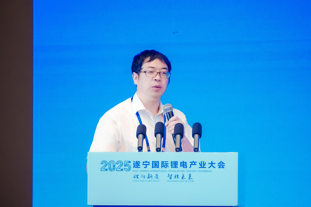 非洲科學(xué)院院士/德國(guó)薩克森科學(xué)院通訊院士/東南大學(xué)能源與環(huán)境學(xué)院教授/東南大學(xué)新一代儲(chǔ)能中心執(zhí)行主任 吳宇平 非洲科學(xué)院院士/德國(guó)薩克森科學(xué)院通訊院士/東南大學(xué)能源與環(huán)境學(xué)院教授/東南大學(xué)新一代儲(chǔ)能中心執(zhí)行主任 吳宇平