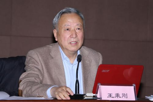 王秉剛：警惕重蹈傳統(tǒng)汽車技術空心化的覆轍