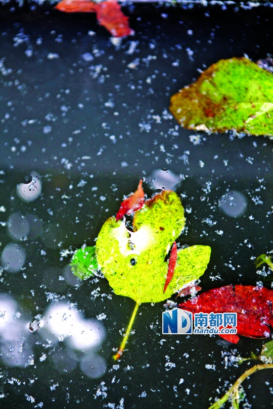 空巢小村血鉛疑云：附近無(wú)工廠無(wú)礦產(chǎn) 污染源成謎