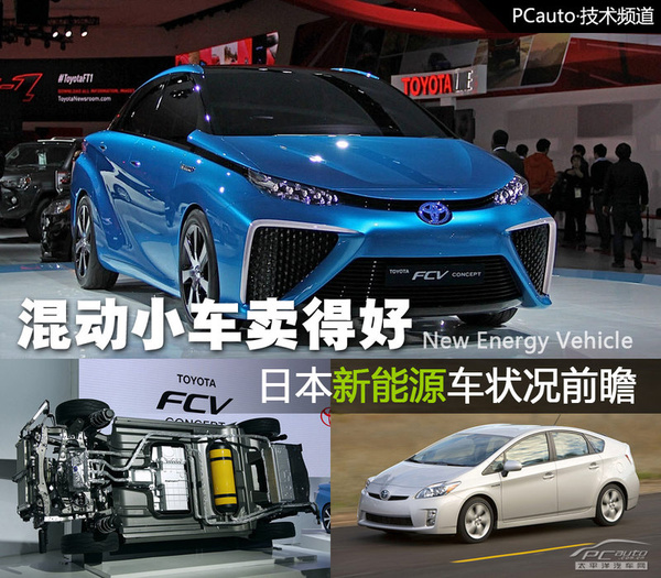 日本新能源車狀況前瞻 混動(dòng)小車賣得最好