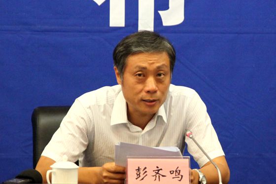 國(guó)土資源部地質(zhì)勘查司司長(zhǎng)彭齊鳴