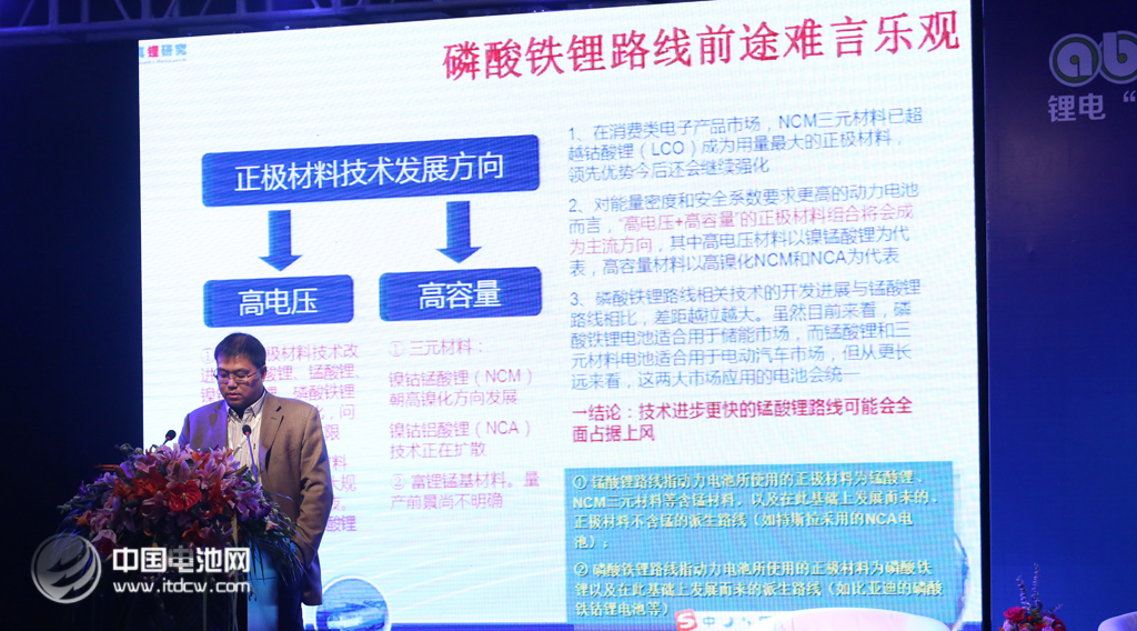 第二屆鋰電“達(dá)沃斯”學(xué)術(shù)委員會秘書長、真鋰研究首席研究員墨柯