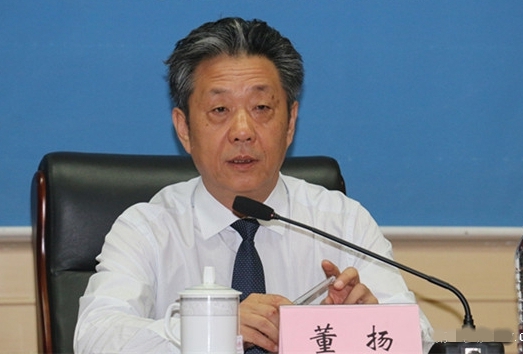 董揚:政策穩(wěn)定是新能源汽車逆勢增長重要原因 董揚:政策穩(wěn)定是新能源汽車逆勢增長重要原因