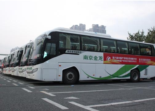 南京金龍