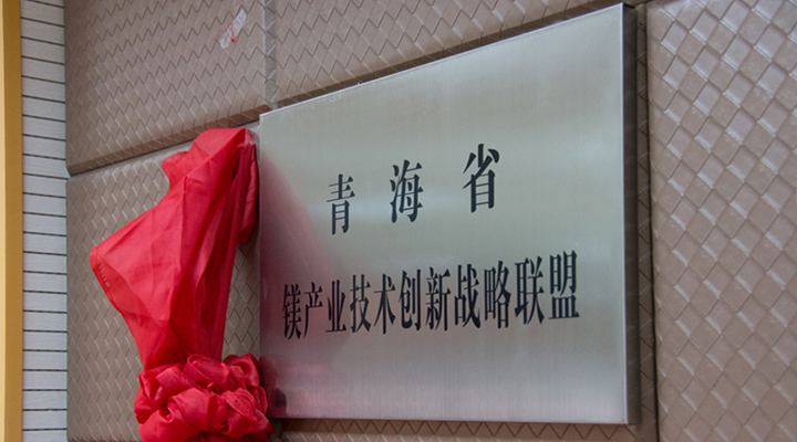 青海成立鋰鎂產業(yè)技術創(chuàng)新戰(zhàn)略聯(lián)盟 提升競爭力