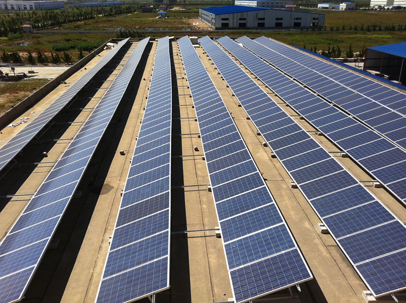 江蘇泰州市政府：光伏電站不得直接在地面上實(shí)施
