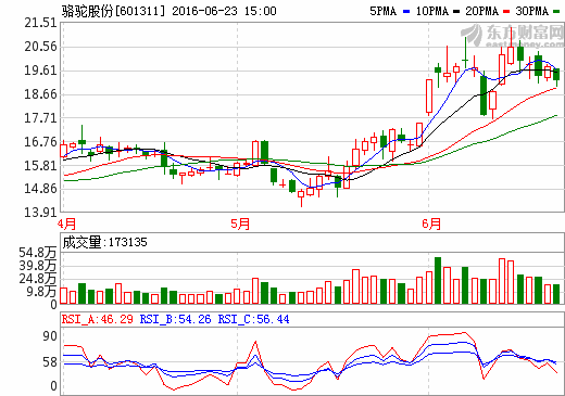 駱駝股份擬收購海外汽車蓄電池公司 年產(chǎn)能60.4萬只