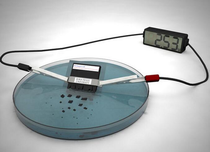 自毀電池 自毀電池