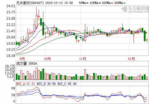 尤夫股份12月13日股價(jià)走勢(shì)圖 尤夫股份12月13日股價(jià)走勢(shì)圖