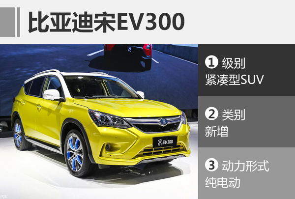 宋EV300