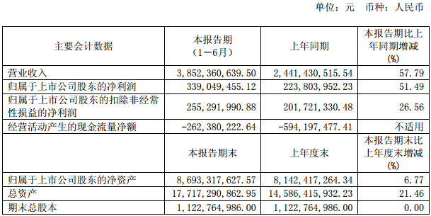 杉杉股份主要會計數據