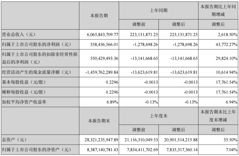 堅瑞沃能主要會計數(shù)據(jù)和財務(wù)指標(biāo)