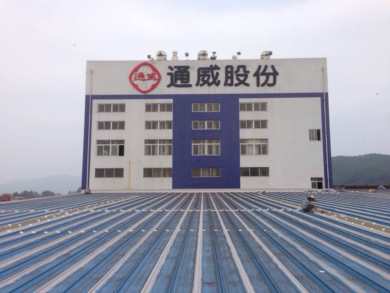 通威股份