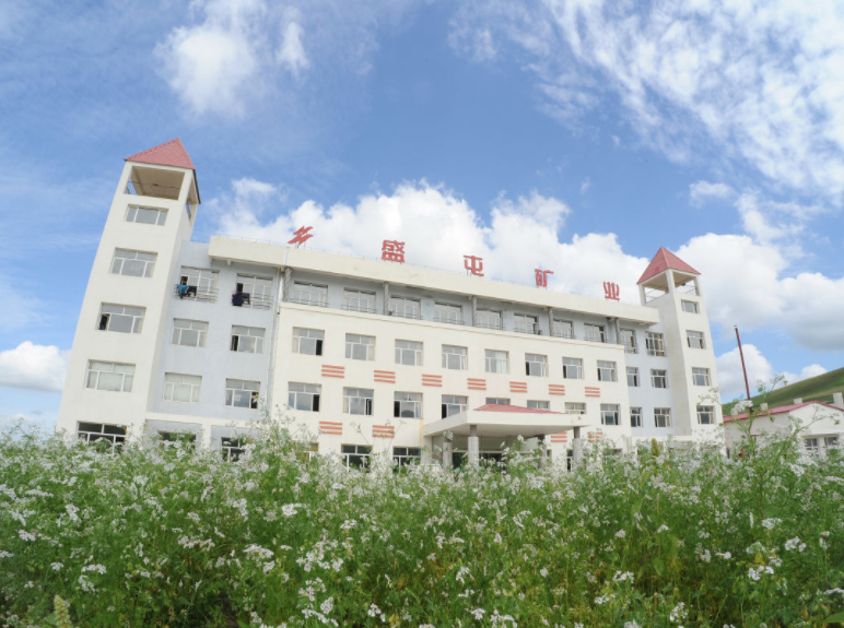 盛屯礦業
