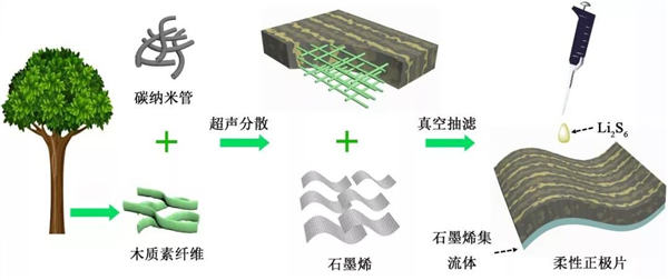 用木質素研發高性能鋰硫電池示意圖