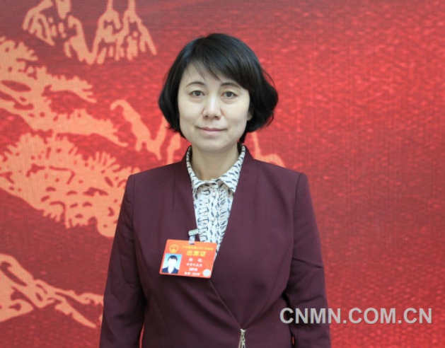 楊艷：進(jìn)一步加大對(duì)鎳鈷資源綜合利用的支持力度