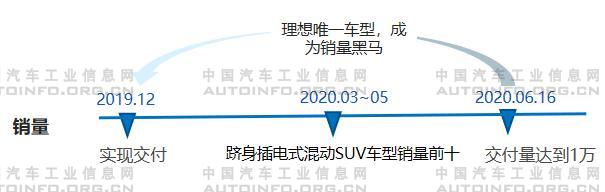 新勢(shì)力車(chē)企分級(jí)明顯 頭部車(chē)企各具規(guī)劃