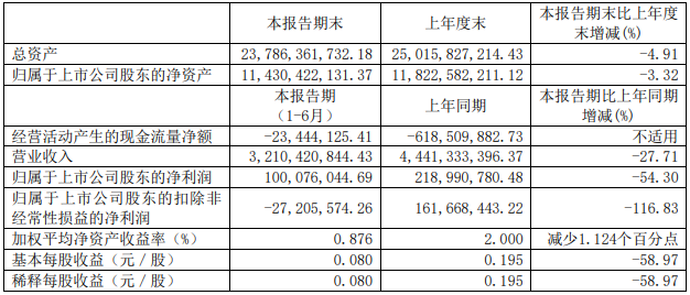 杉杉股份2020半年度報告主要財務數據.png