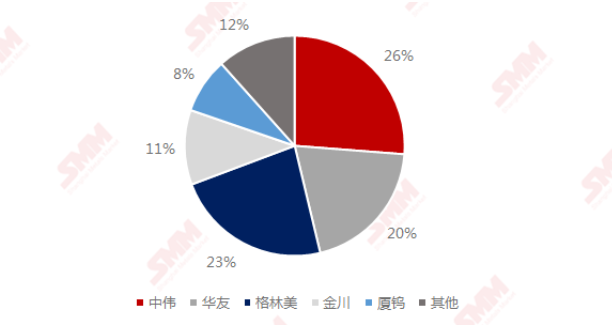 2020年中國(guó)四氧化三鈷TOP5生產(chǎn)商市占率