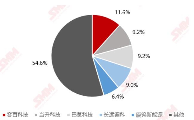 2020年三元材料生產(chǎn)商前五名市占率