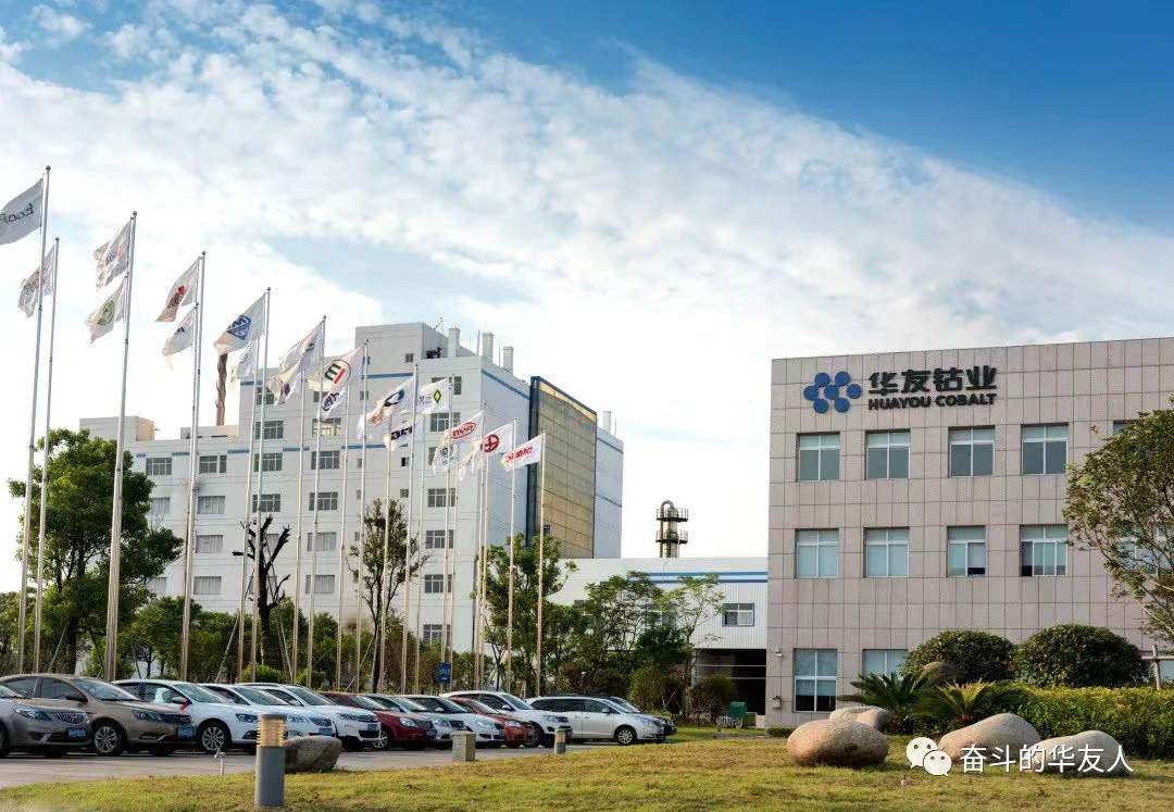 華友鈷業(yè),鎳,鈷,鋰 華友鈷業(yè),鎳,鈷,鋰