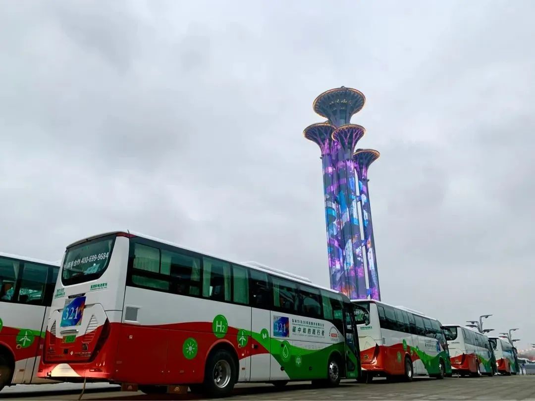 國家電投