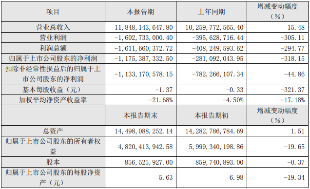 2021年度主要財務(wù)數(shù)據(jù)和指標（單位：元）
