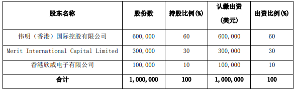 高冰鎳項目公司股權(quán)結(jié)構(gòu)及出資比例
