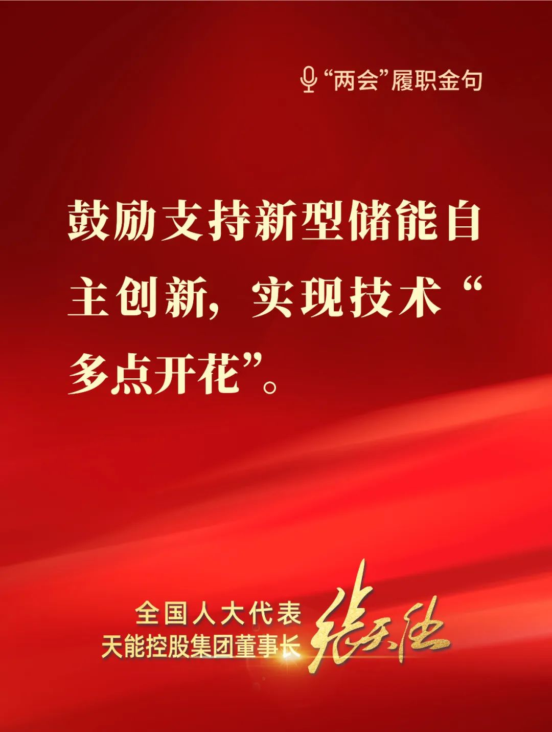 全國人大代表，天能控股集團(tuán)董事長張?zhí)烊? style=