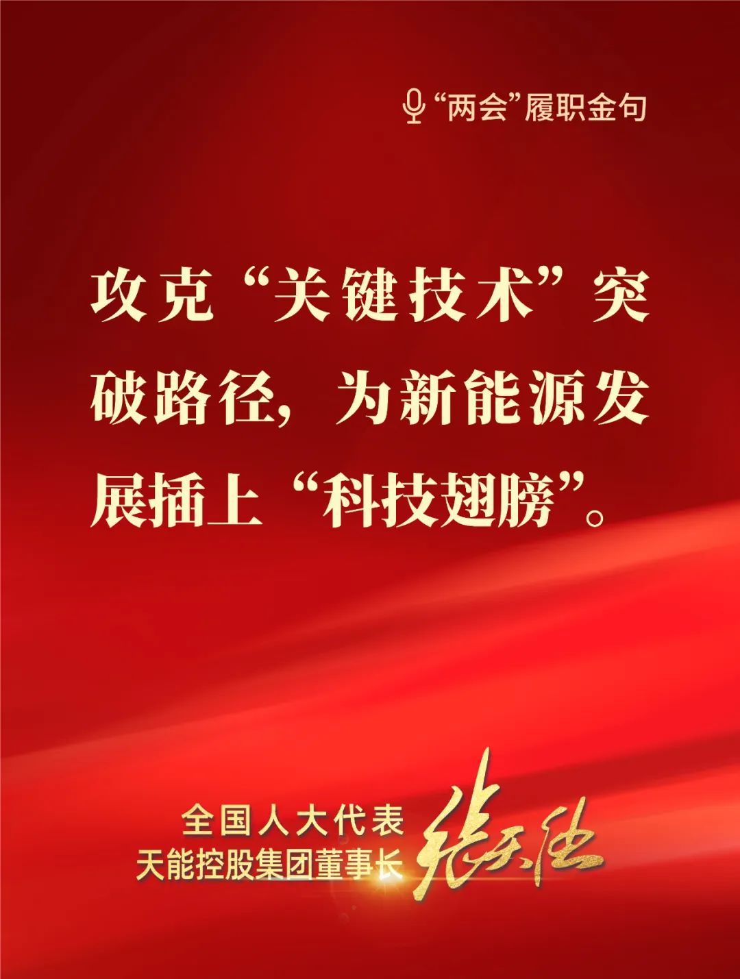 全國人大代表，天能控股集團(tuán)董事長張?zhí)烊? style=