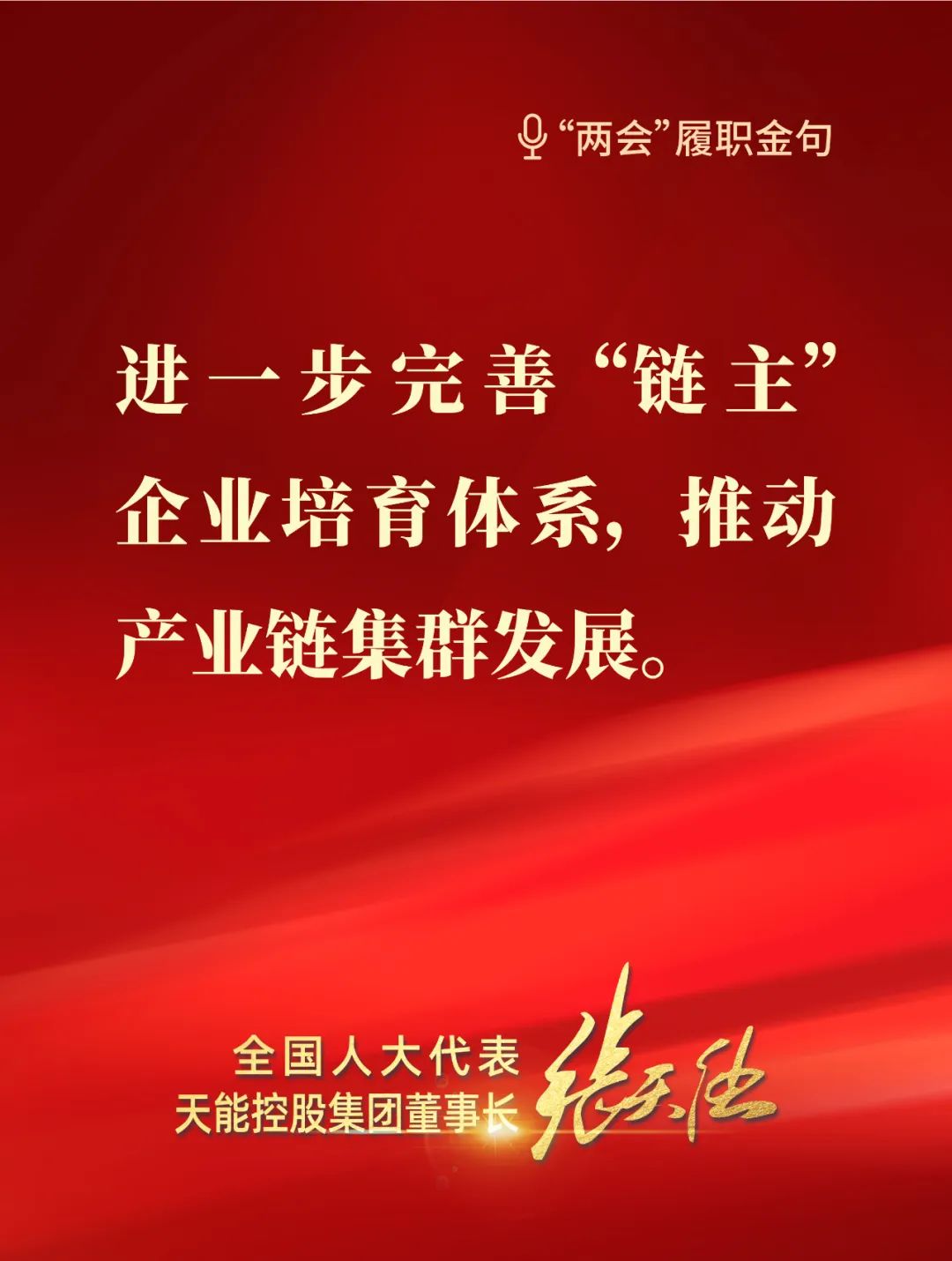 全國人大代表，天能控股集團(tuán)董事長張?zhí)烊? style=