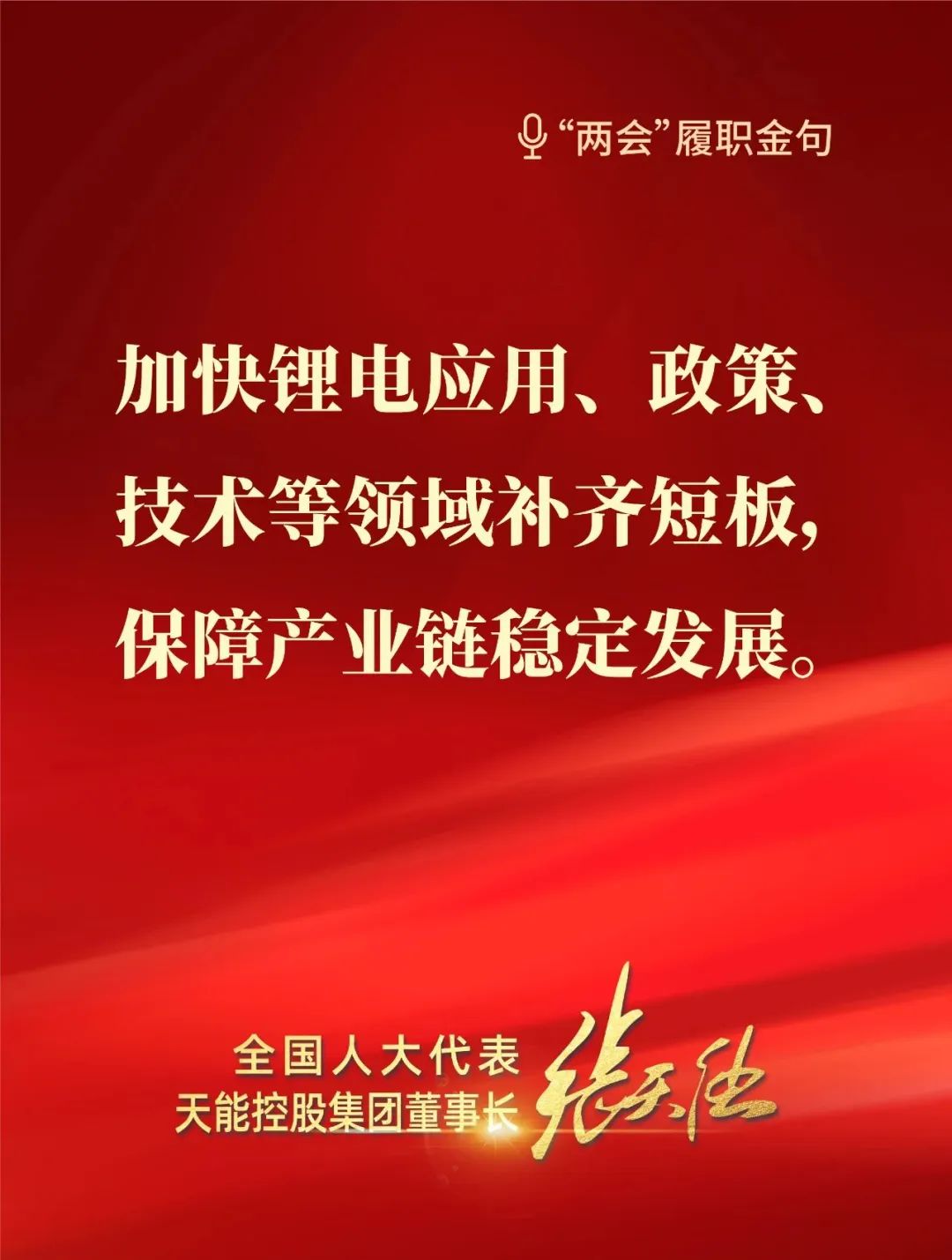 全國人大代表，天能控股集團(tuán)董事長張?zhí)烊? style=