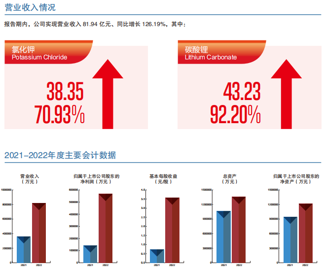 藏格礦業