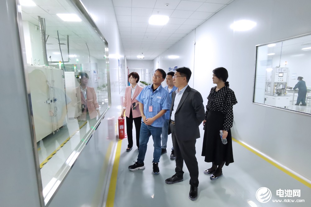 德賽電池
