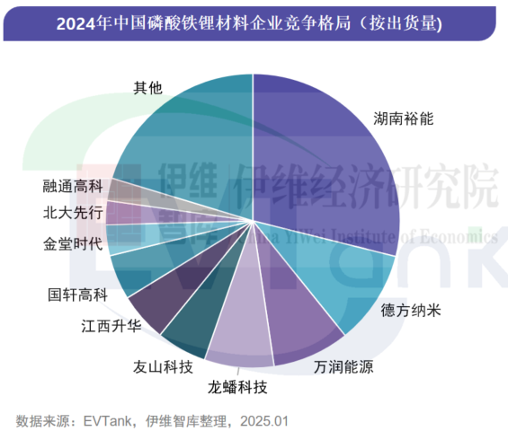 中國鋰離子電池正極材料行業(yè)發(fā)展白皮書（2025年）