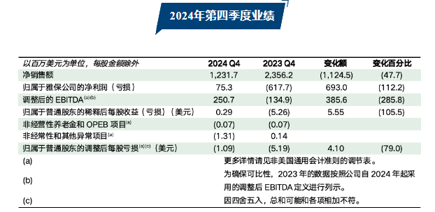 雅保公司