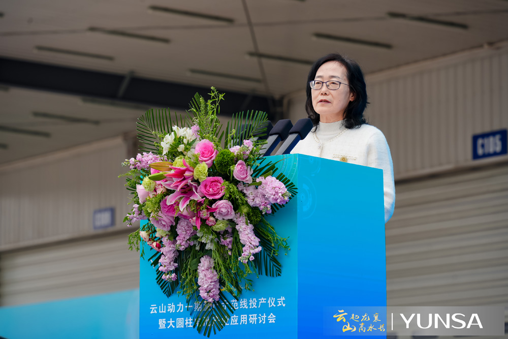 中國汽車動力電池產業創新聯盟 秘書長許艷華 中國汽車動力電池產業創新聯盟 秘書長許艷華